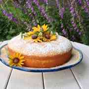 5lemoncakeout1_w