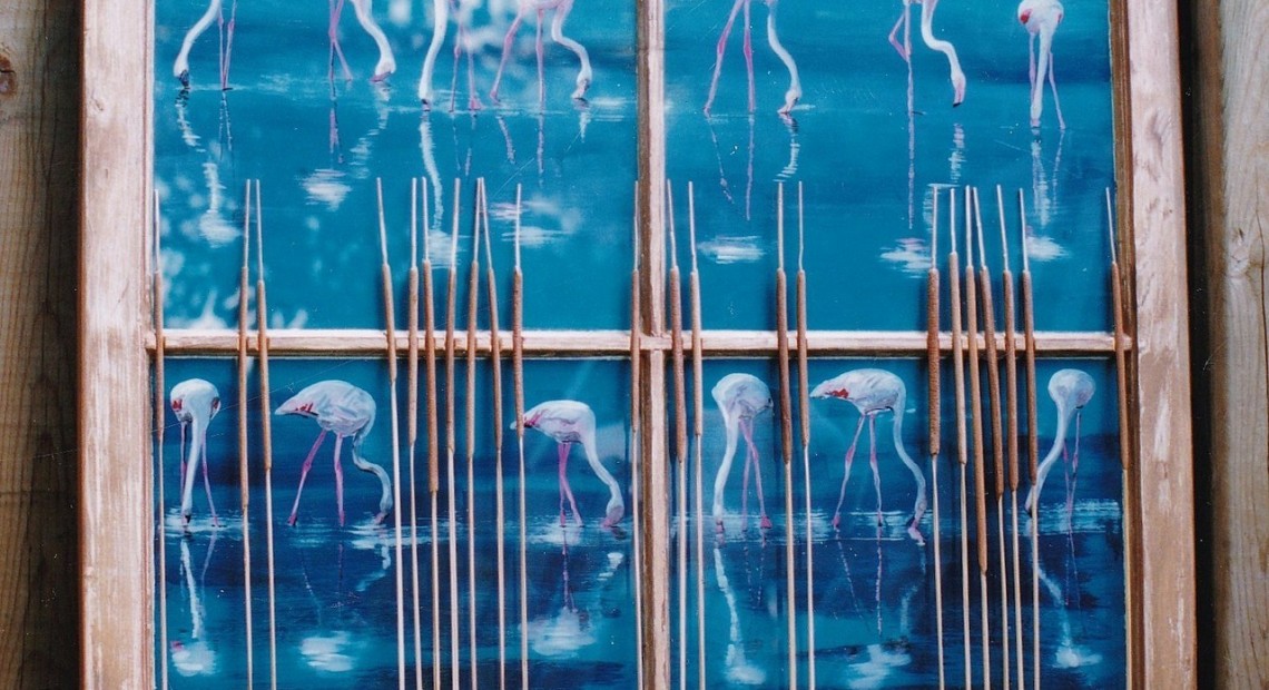 Flamingos