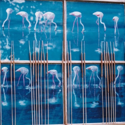 Flamingos